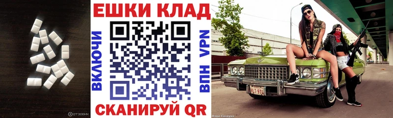 Ecstasy Philipp Plein  Новопавловск 