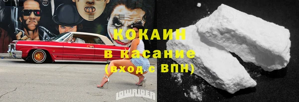 хмурый Алзамай