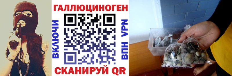 нарко площадка Telegram  Новопавловск  Псилоцибиновые грибы Psilocybine cubensis 